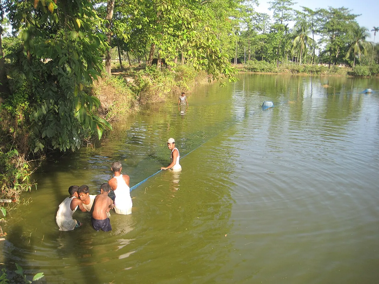 People fishing together in a pond at Biswanath Chariali
