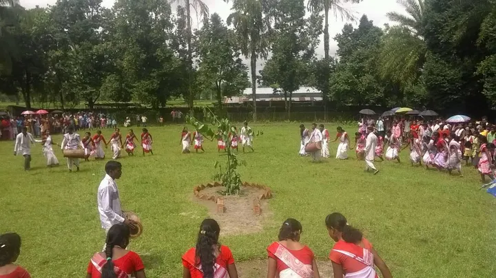 A circle of dancers around a planted Karam branch